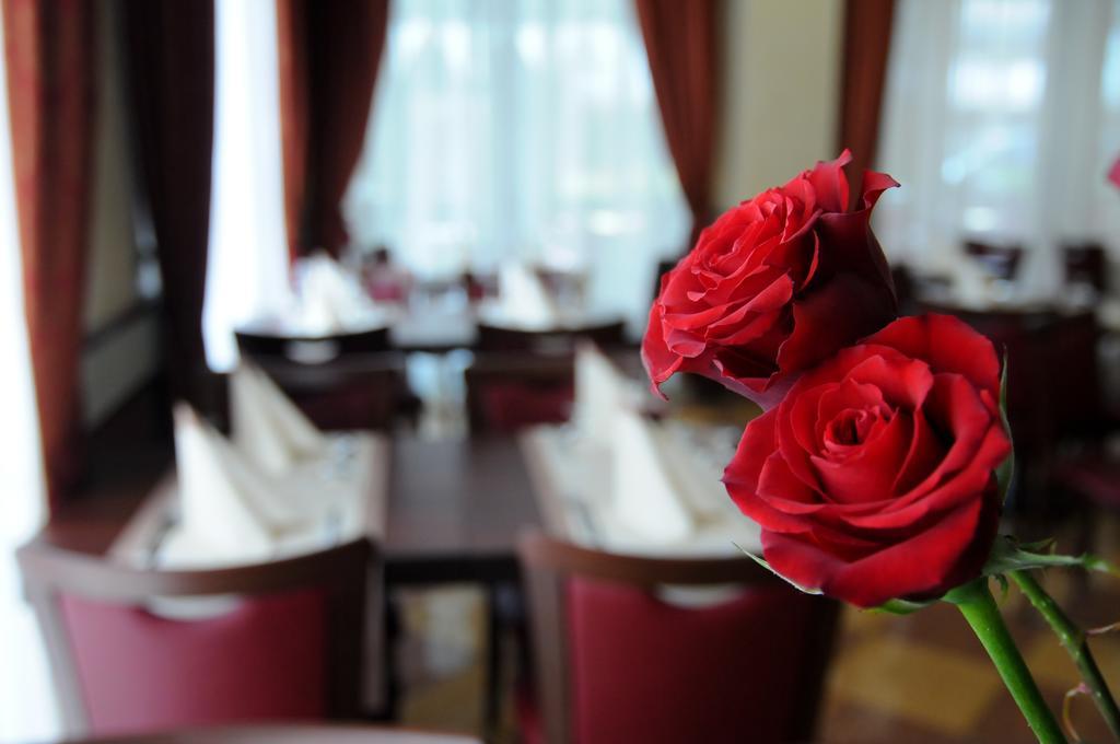 Hotel Dei Platani Rimini Kültér fotó