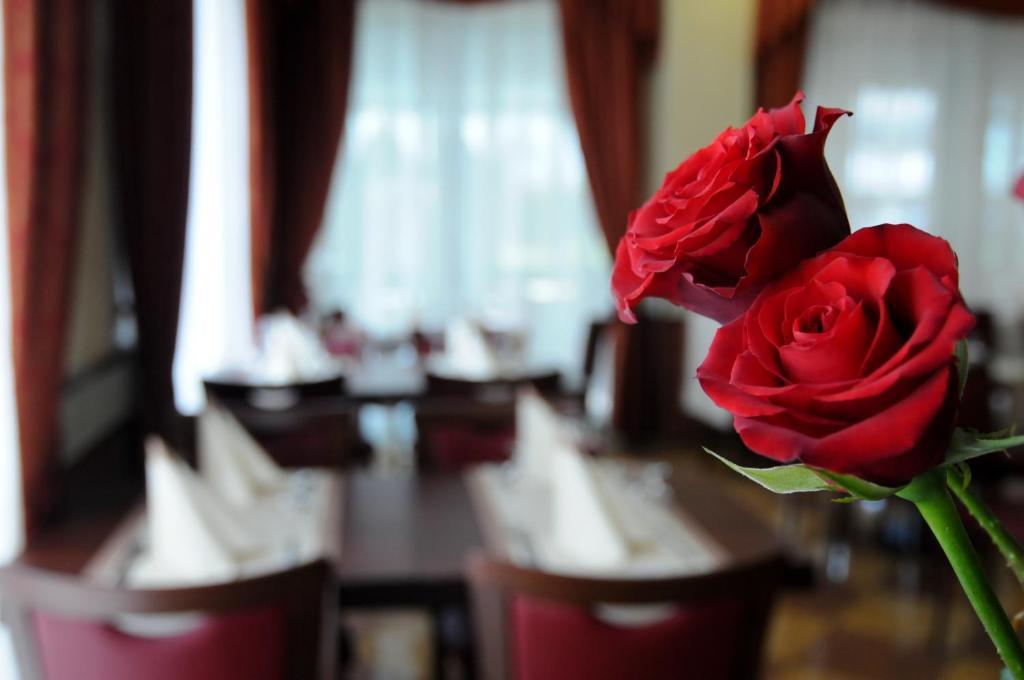Hotel Dei Platani Rimini Kültér fotó